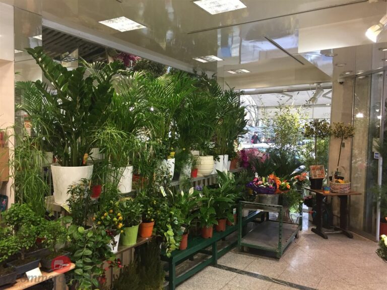 CessionBail Commercial Fleurs PARIS 75014 3