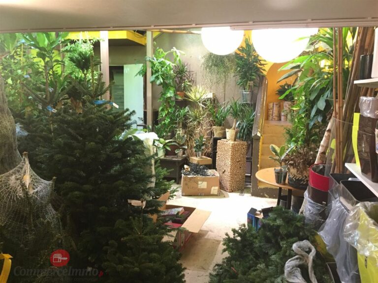 CessionBail Commercial Fleurs PARIS 75012 3 CessionBail Commercial Fleurs PARIS 75012 3