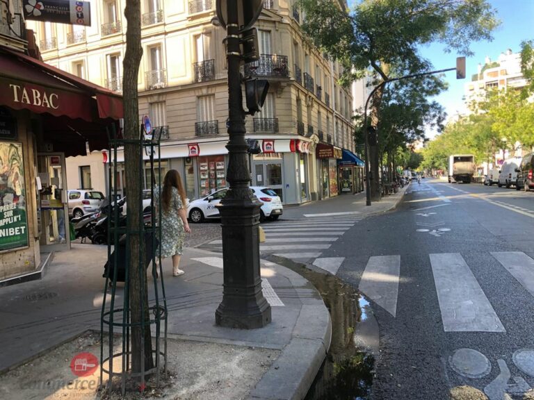 CessionBail Commercial Librairie PARIS 75014 3 CessionBail Commercial Librairie PARIS 75014 3