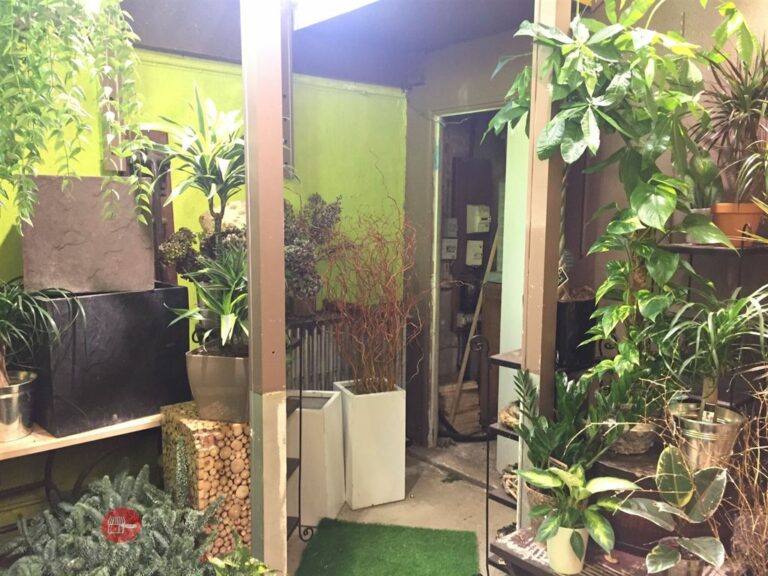 CessionBail Commercial Fleurs PARIS 75012 5 CessionBail Commercial Fleurs PARIS 75012 5
