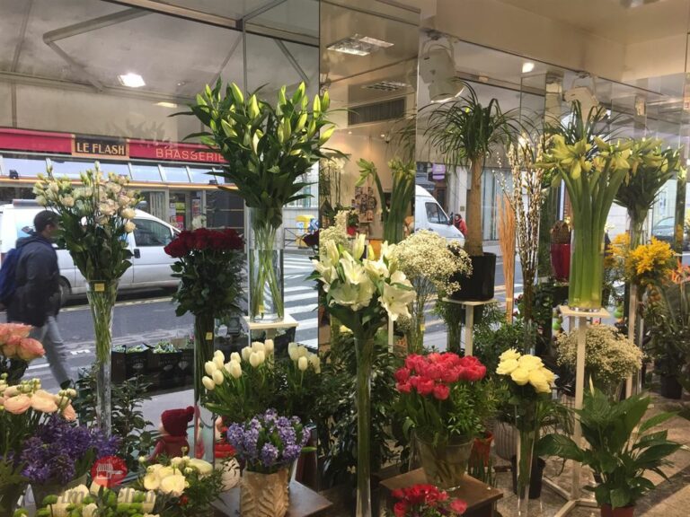 CessionBail Commercial Fleurs PARIS 75014 4 CessionBail Commercial Fleurs PARIS 75014 4