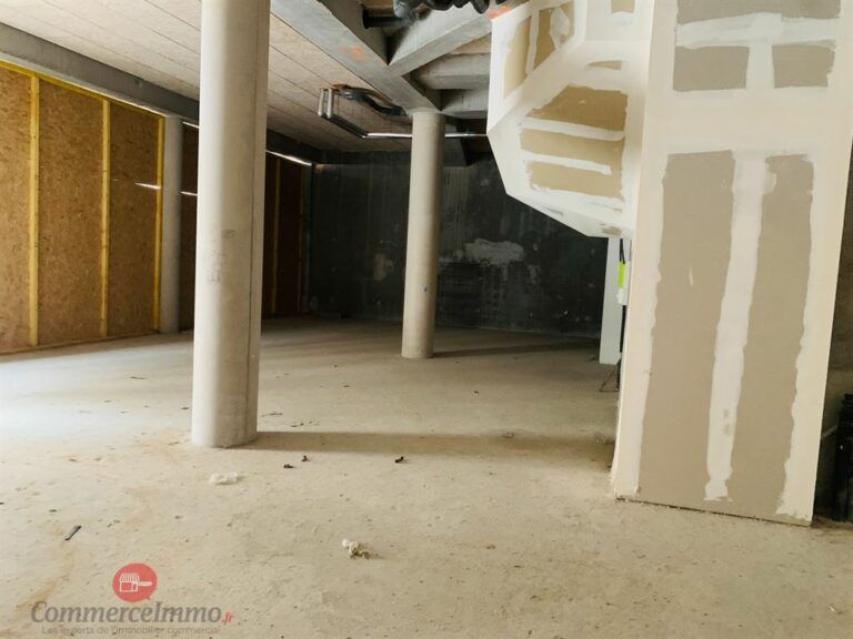 LocationPure Commercial  ST MAUR DES FOSSES 94100 2