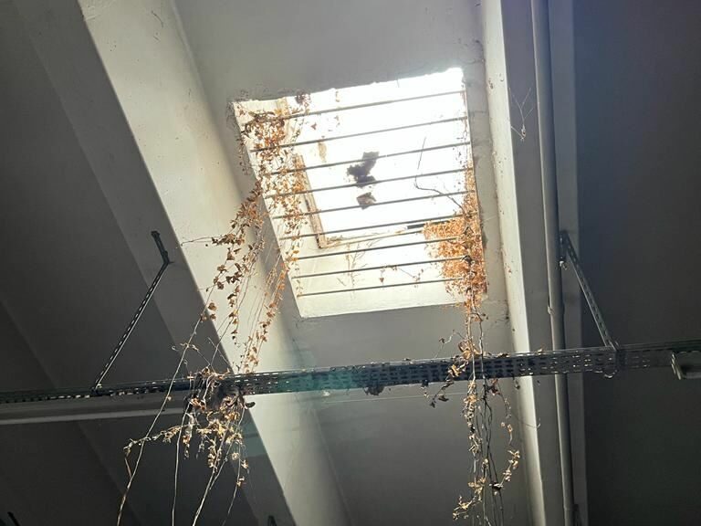 LocationPure Commercial AUBERVILLIERS 93300 6 LocationPure Commercial AUBERVILLIERS 93300 6