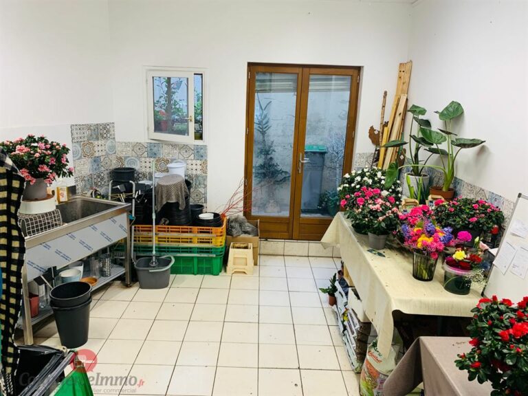 CessionBail Commercial Fleurs PARIS 75015 3 CessionBail Commercial Fleurs PARIS 75015 3