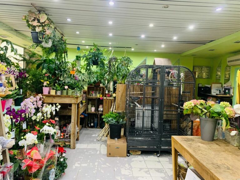 CessionBail Commercial Fleurs LE PERREUX SUR MARNE 94170 2 CessionBail Commercial Fleurs LE PERREUX SUR MARNE 94170 2