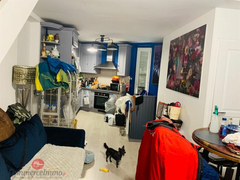 CessionBail Commercial Fleurs LE PERREUX SUR MARNE 94170 6 CessionBail Commercial Fleurs LE PERREUX SUR MARNE 94170 6