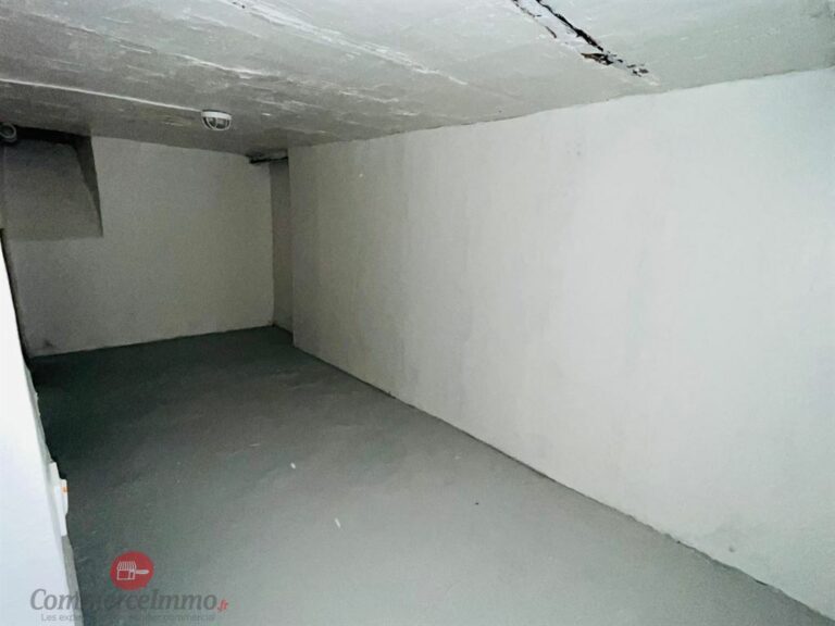 LocationPure Commercial  VILLENEUVE ST GEORGES 94190 4