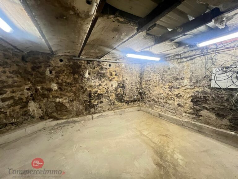 LocationPure Commercial  MAISONS ALFORT 94700 8