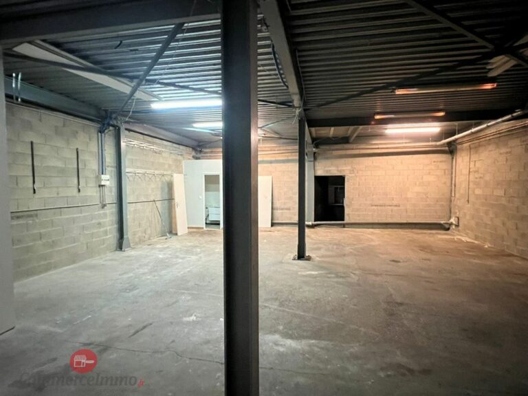 LocationPure Commercial  EPINAY SOUS SENART 91860 4