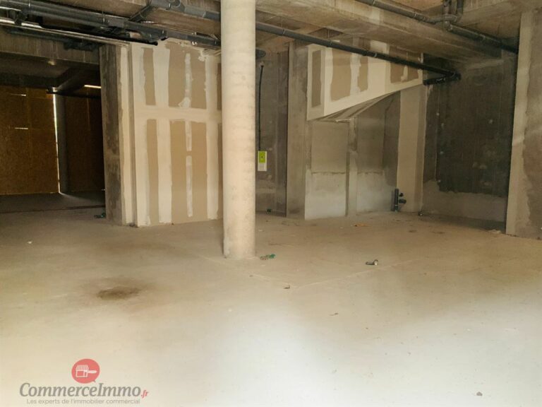 LocationPure Commercial  ST MAUR DES FOSSES 94210 2