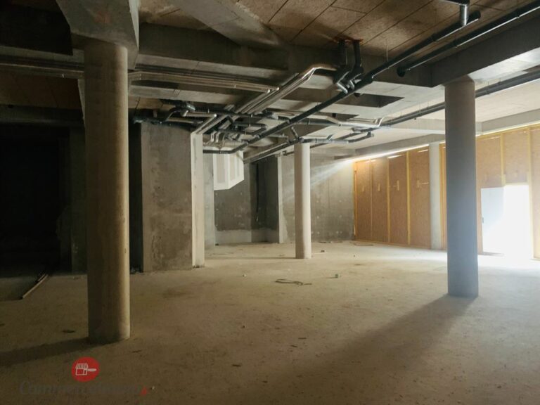 LocationPure Commercial  ST MAUR DES FOSSES 94210 3