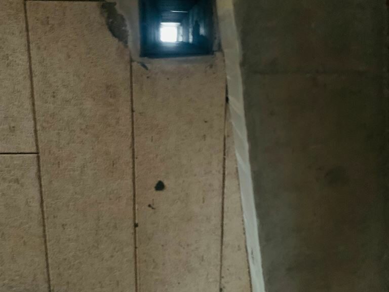 LocationPure Commercial  ST MAUR DES FOSSES 94210 5