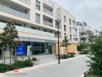 LocationPure Commercial  ST MAUR DES FOSSES 94100 1