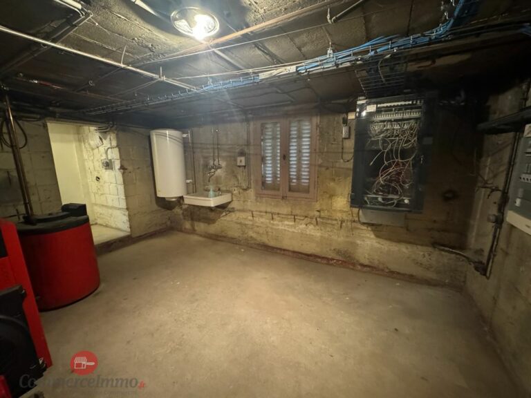 LocationPure Commercial  VILLENEUVE LE ROI 94290 8