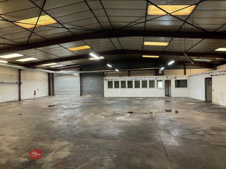 LocationPure Commercial  THORIGNY SUR MARNE 77400 2